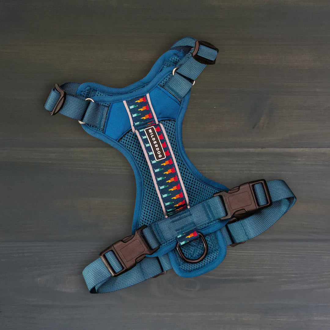 Wilderdog Harness Pacific Blue (Med)