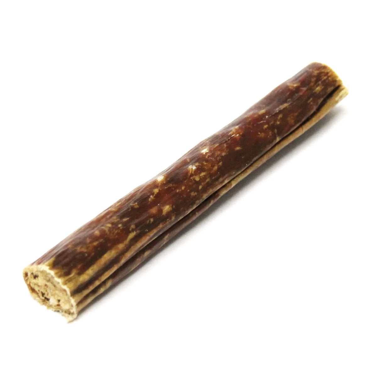 Tuesday's Chewy Bull 6"