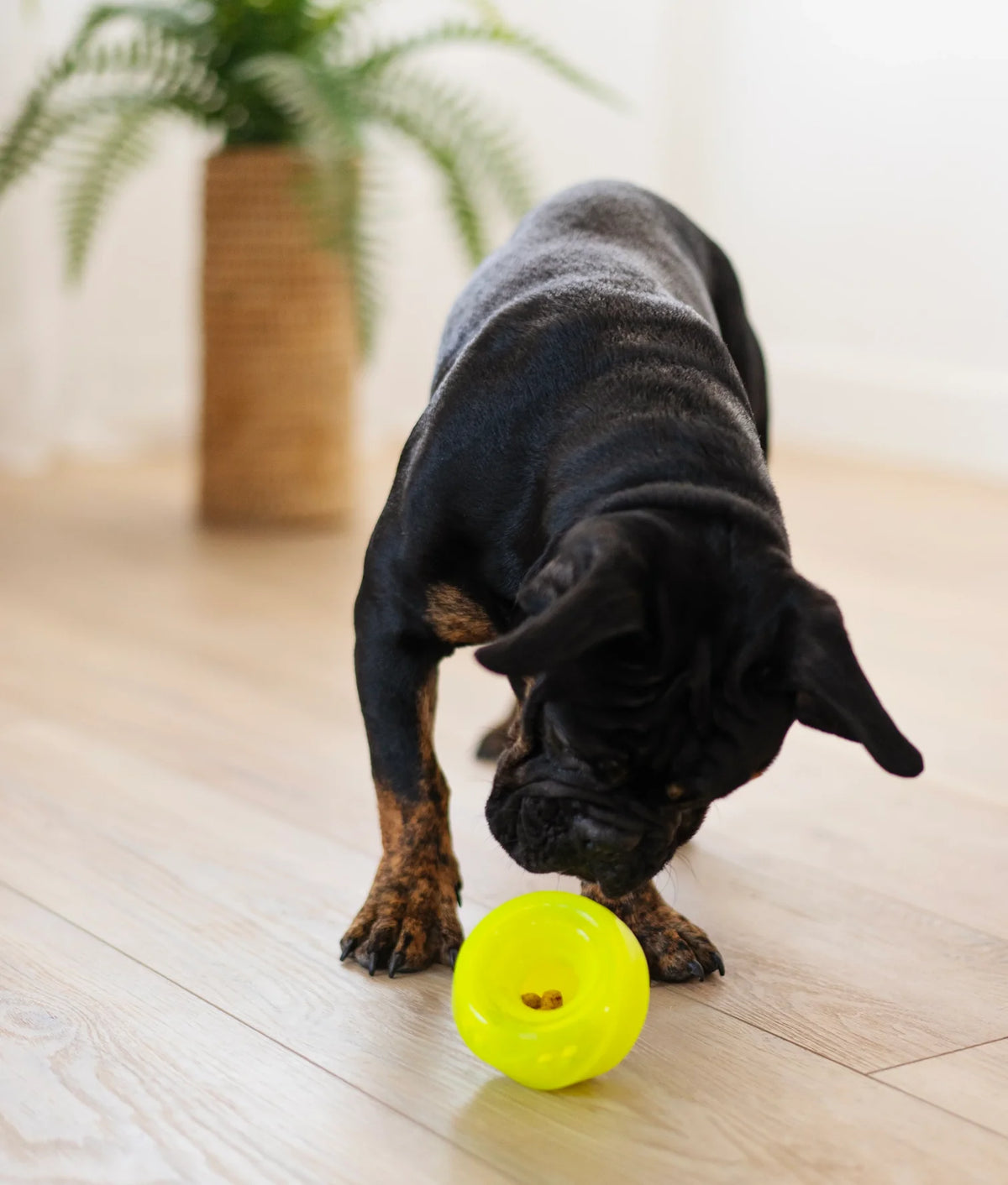 Totally Pooched Green Wobble Ball