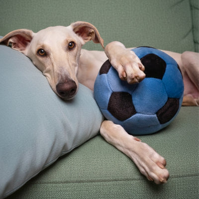 Fluff & Tuff Blue Soccer Ball
