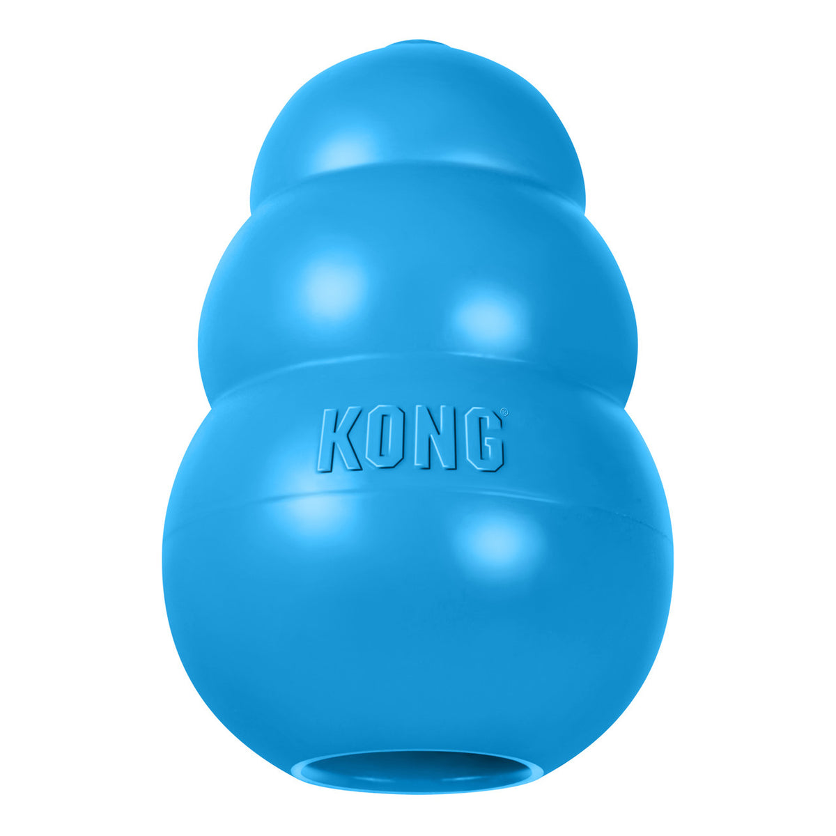 Kong Puppy Blue (L)