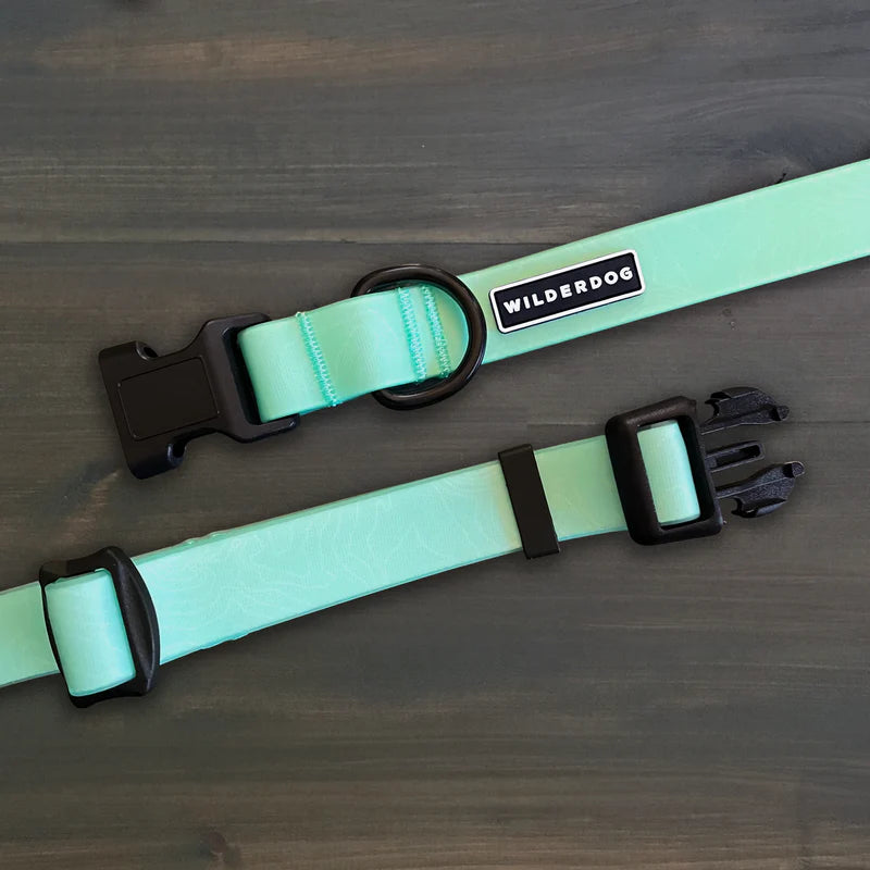 Wilderdog Waterproof Collar Seafoam (Med)