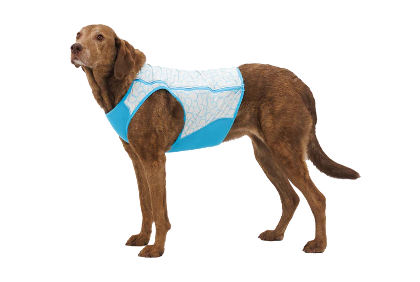Ruffwear Swamp Cooler Vest Blue (XLarge)
