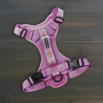 Wilderdog Harness Lilac (Med)