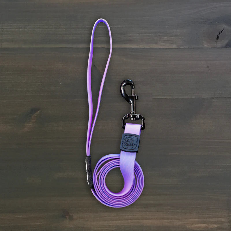 Wilderdog Waterproof Leash Aurora
