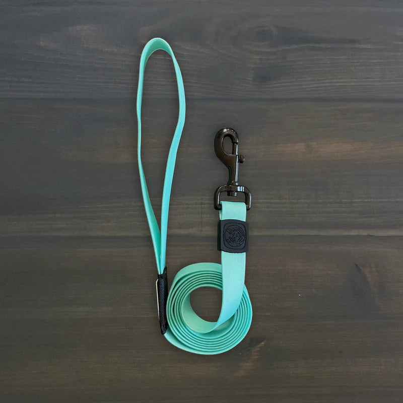 Wilderdog Waterproof Leash Seafoam